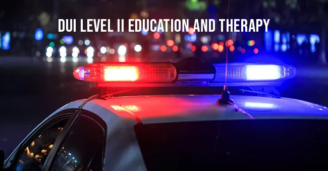 DUI Level II Education and Therapy